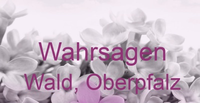 Wahrsagen Wald, Oberpfalz | Top-Experten für Kartenlegen, Wahrsagen, Hellsehen, Zukunftsdeutung.